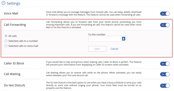 Image of the Voice Tool Settings, highlighting the Call Forwarding options