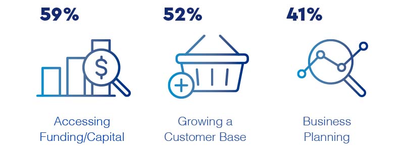 Illustrations of barriers to business for minority owners: revenue growth chart, shopping basket, and magnifying glass over a line graph