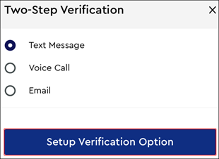 Image of Setup Verification Option