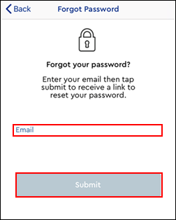 Image of Forgot Password screen