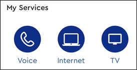 Image of My Services section