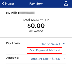 Image of Pay Now screen - Add Payment Method