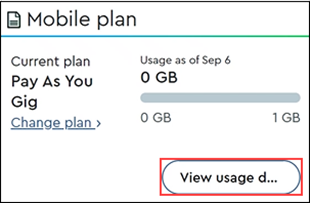 Image of Data plan section with view usage details highlighted