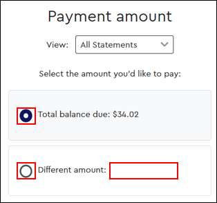 Image of My Account Payment Amount