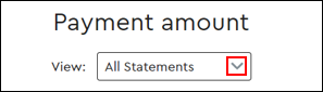 Image of Payment Amount View Dropdown Menu
