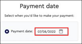 image of the payment date field