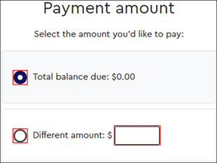 example image of payment amount field