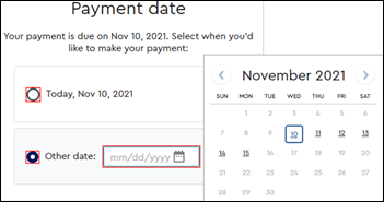 example image of payment date fields