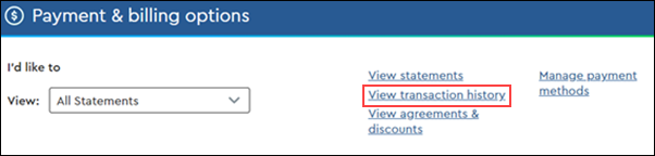 Checking Your Payment Status