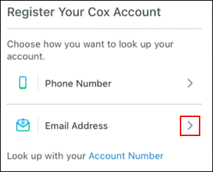 Image of the email address option
