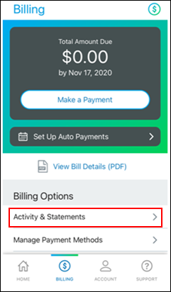 Image of Billing Screen View Statements