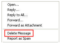 delete message option