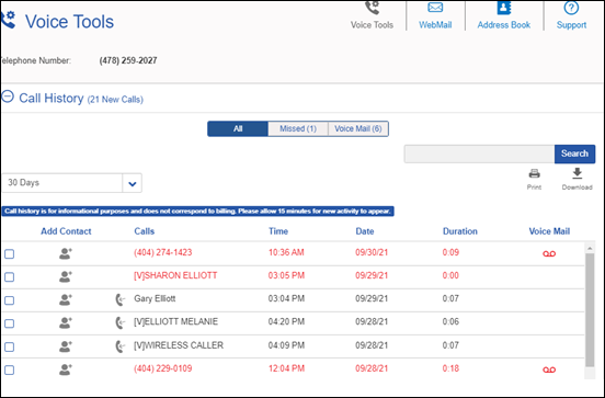 Image of the Voice Tools Call History section